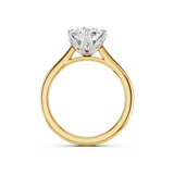 Tulip Cathedral 2 Tone Moissanite Engagement Ring