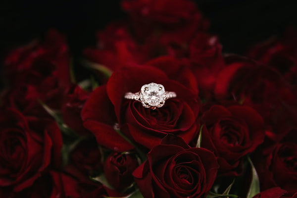 Square cut Engagement ring  on a rose bud