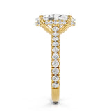 Noel Cathedral Moissanite Engagement Ring